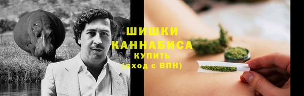 крисы Белокуриха